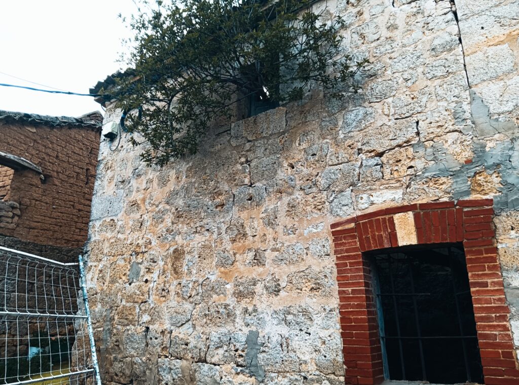 🔌Arroyo de Muño con fibra optica